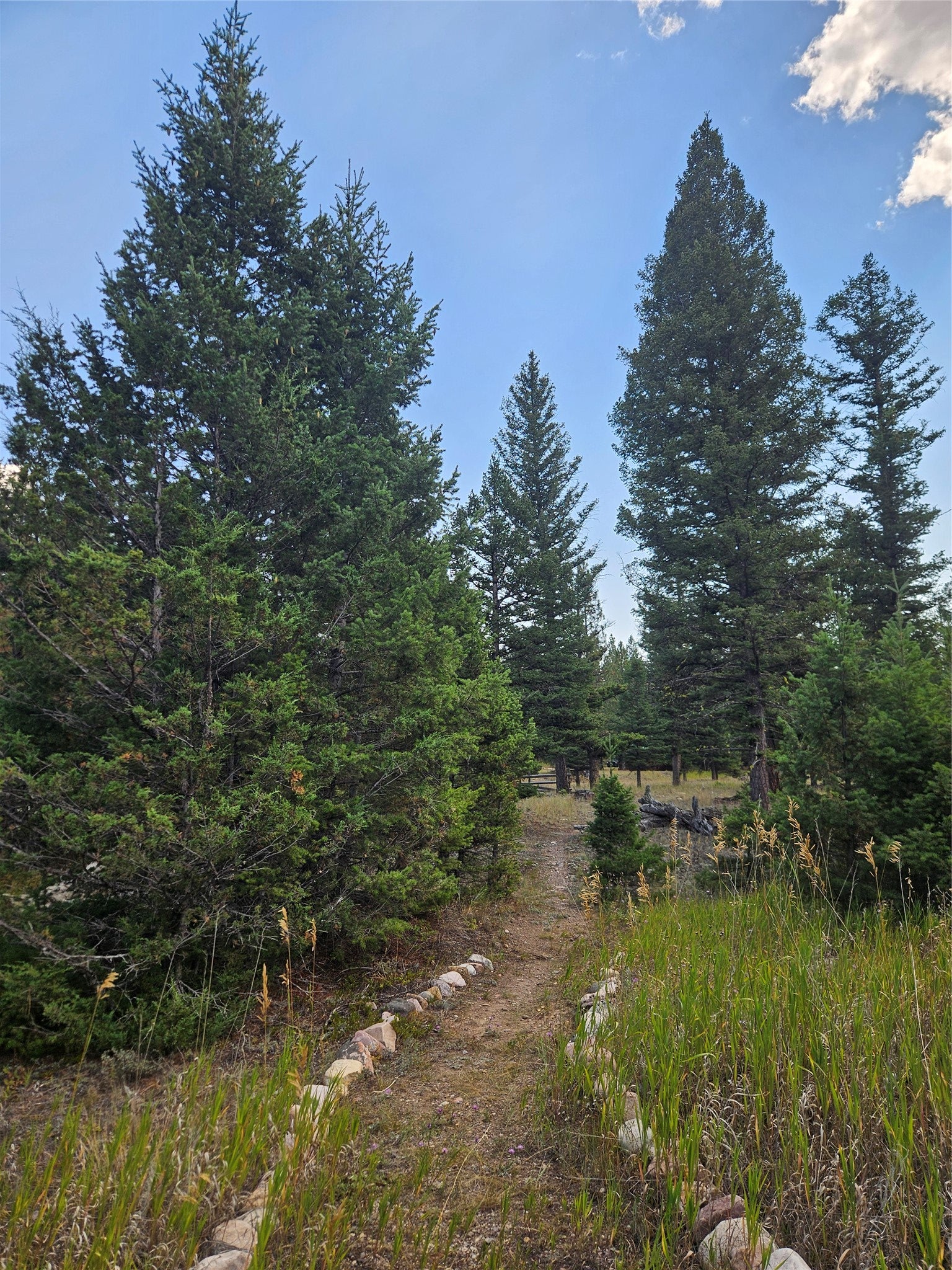 8880 Elk Trail Loop Lincoln, MT 59639 - Photo 55 of 55 Gallery Image 55