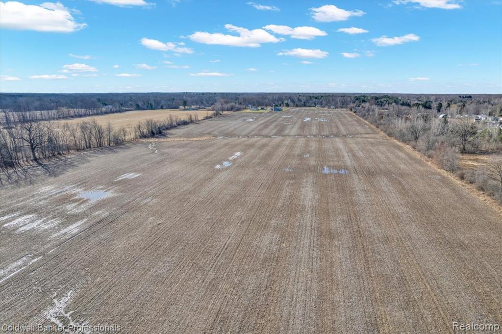 7410 Wilson Road Montrose, MI 48457 - Photo 37 of 38