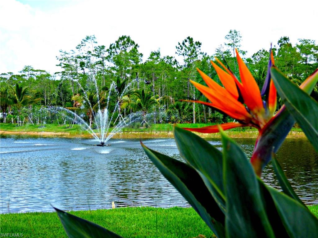 16211 Marsilea Place Naples, FL 34110 - Photo 13 of 25 a view of swimming pool