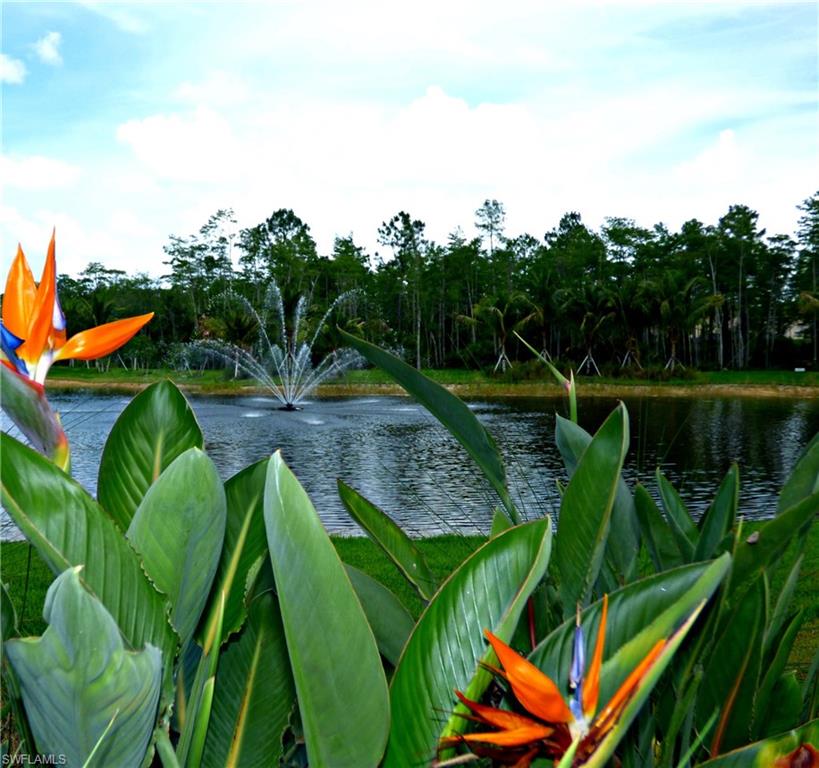 16211 Marsilea Place Naples, FL 34110 - Photo 15 of 25 a view of a yard with plants