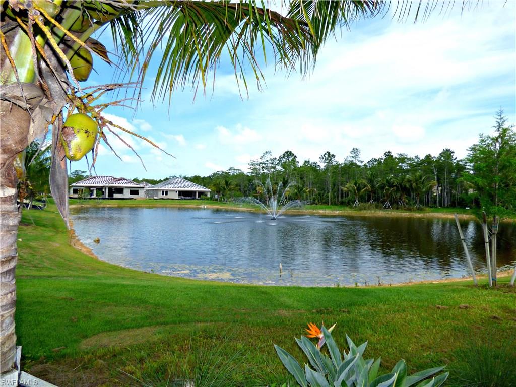 16211 Marsilea Place Naples, FL 34110 - Photo 10 of 25 a view of a lake with a big yard and a large trees