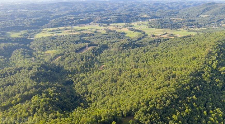 Tbd Rustic Ridge Road Riner, VA 24149 - Photo 48 of 53 Gallery Image 48