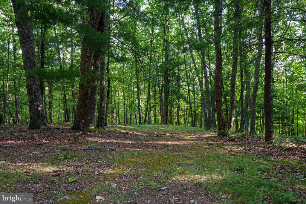 Pack Horse Road Winchester, VA 22603 - Photo 13 of 15