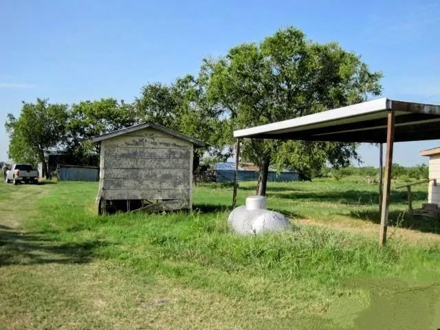a view of a garden with a tree
