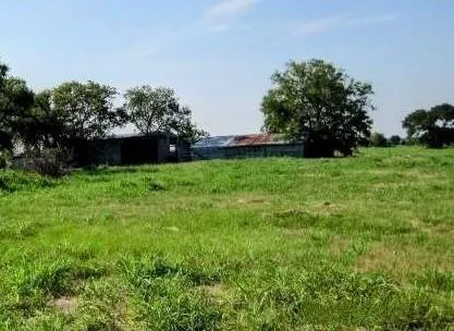 a view of garden with trees