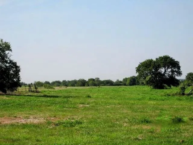 a view of a grassy field with trees