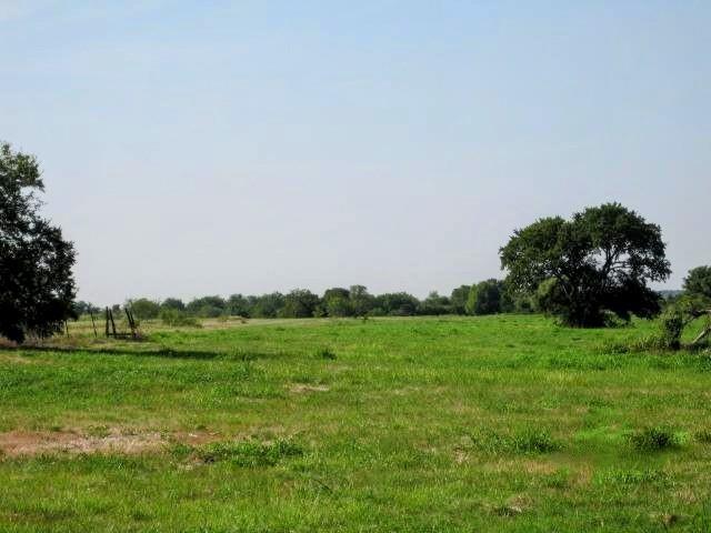 1718 Johnny Watson Road Howe, TX 75459 - Photo 10 of 11 a view of a grassy field with trees