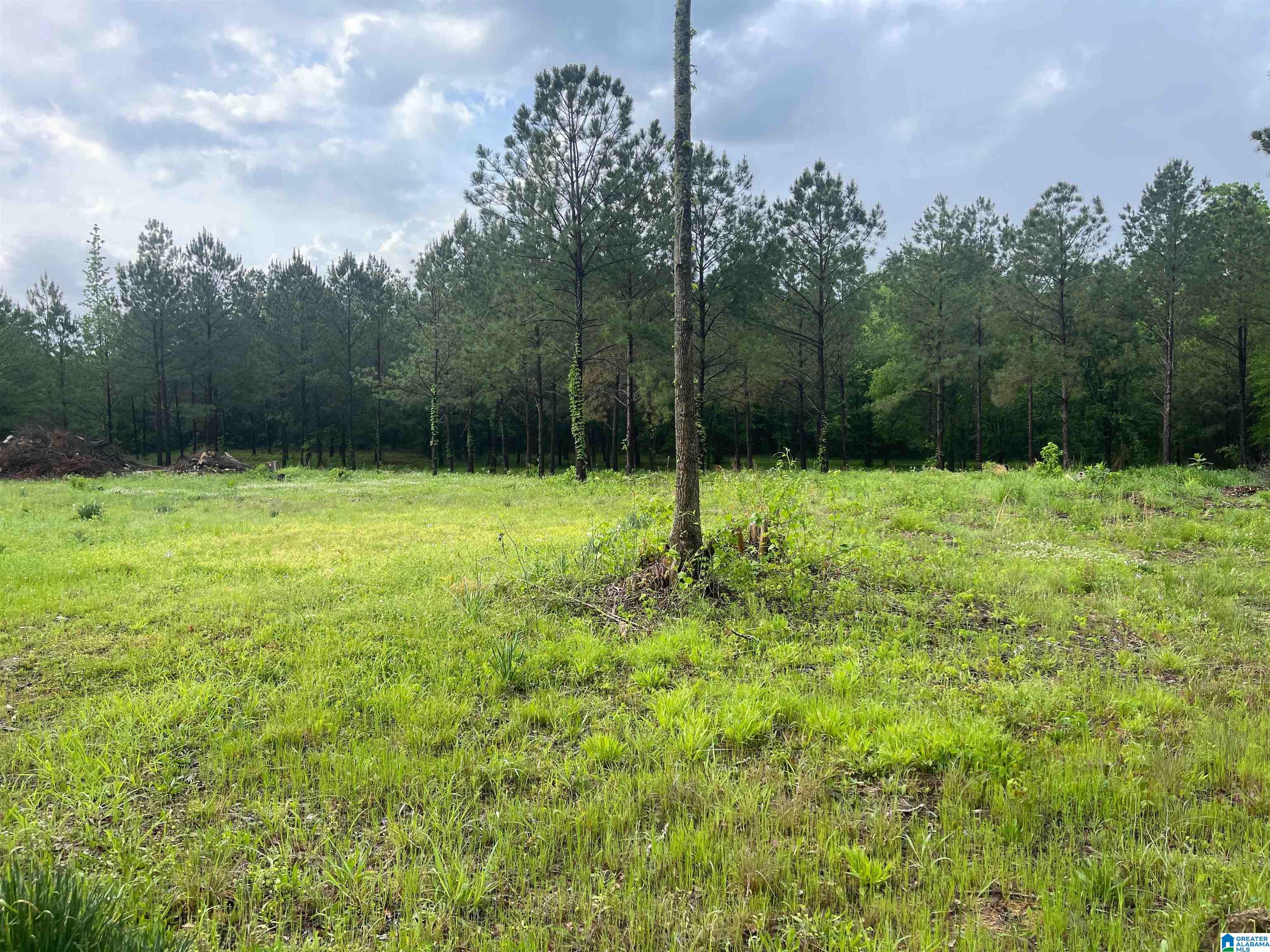 2760 Mitchellville Road, Unit 2 75 Lincoln, AL 35096 - Photo 7 of 11