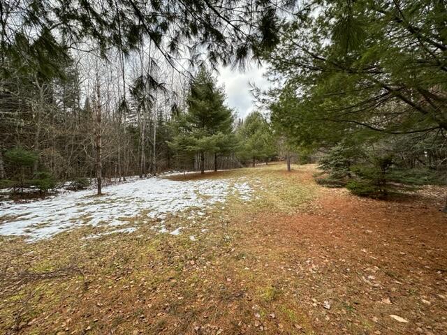 226 Foxcroft Road Houlton, ME 04730 - Photo 19 of 54 IMG_0980