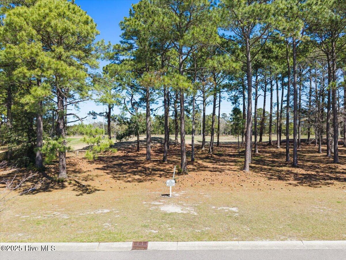 33 Eastwood Park Road Sunset Beach, NC 28468 - Photo 2 of 30 Lot View 2