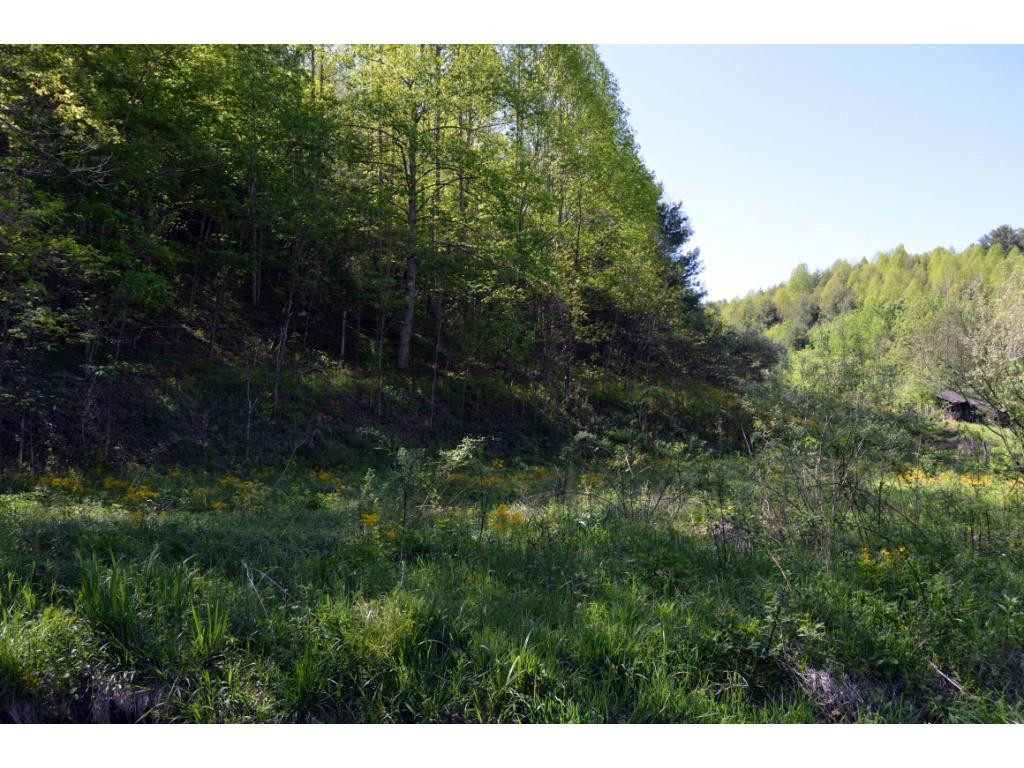 Tbd Verl Street Road Hampton, TN 37658 - Photo 11 of 13 Photo 11
