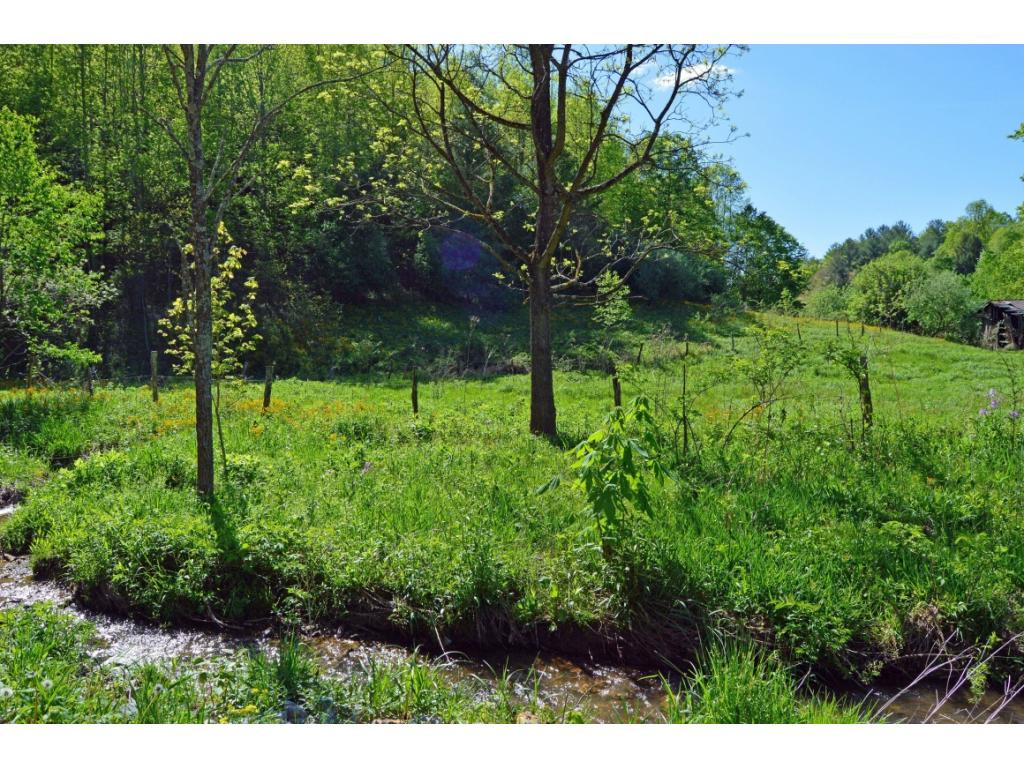 Tbd Verl Street Road Hampton, TN 37658 - Photo 13 of 13 Photo 13