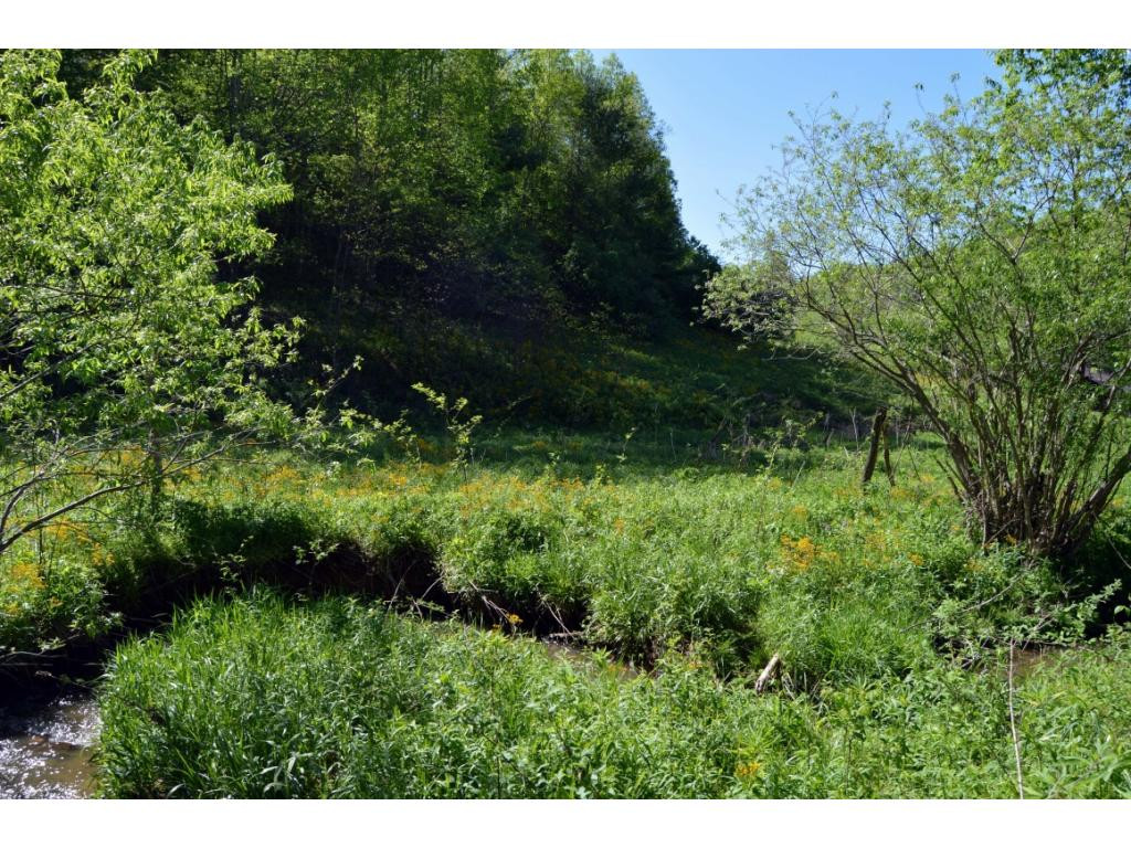 Tbd Verl Street Road Hampton, TN 37658 - Photo 9 of 13 Photo 9