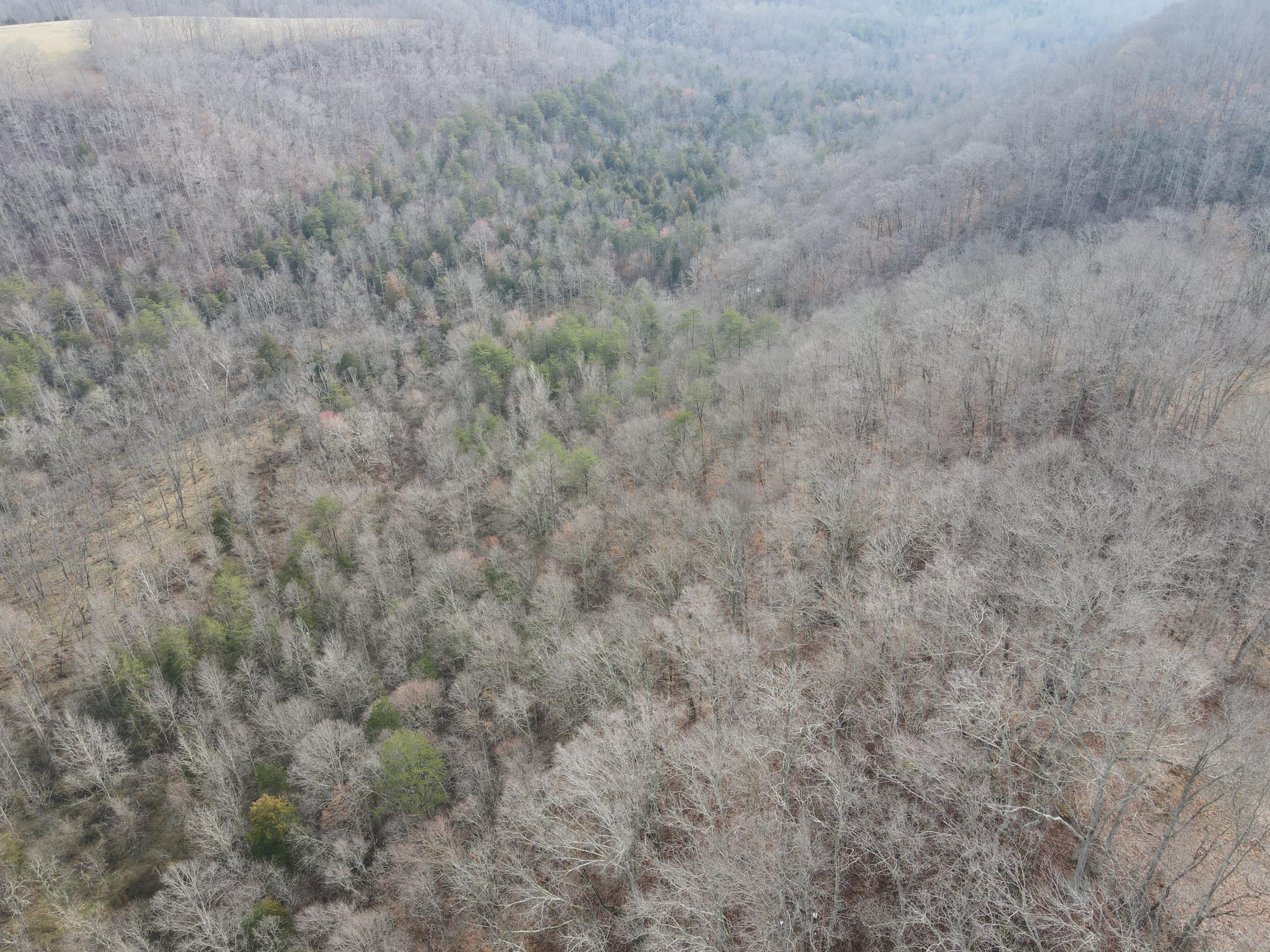 551 Porter Creek Road Nancy, KY 42544 - Photo 30 of 45 DJI_0959