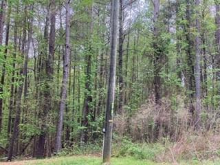 3160 Buck Branch Road Southwest Conyers, GA 30094 - Photo 1 of 1 Gallery Image 1