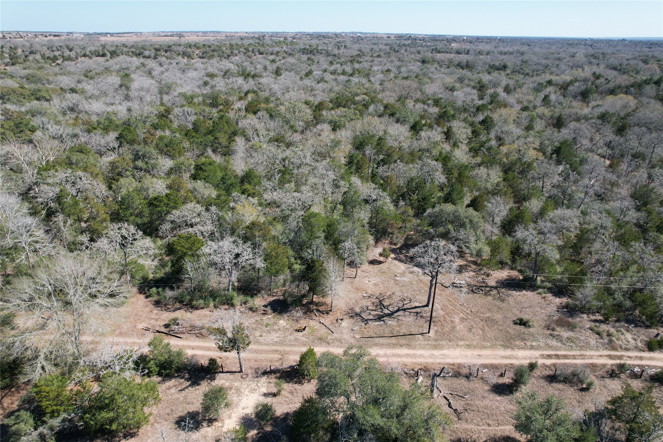 2551 Jurecka Road Fayetteville, TX 78940 - Photo 11 of 22 a view of a yard with a tree