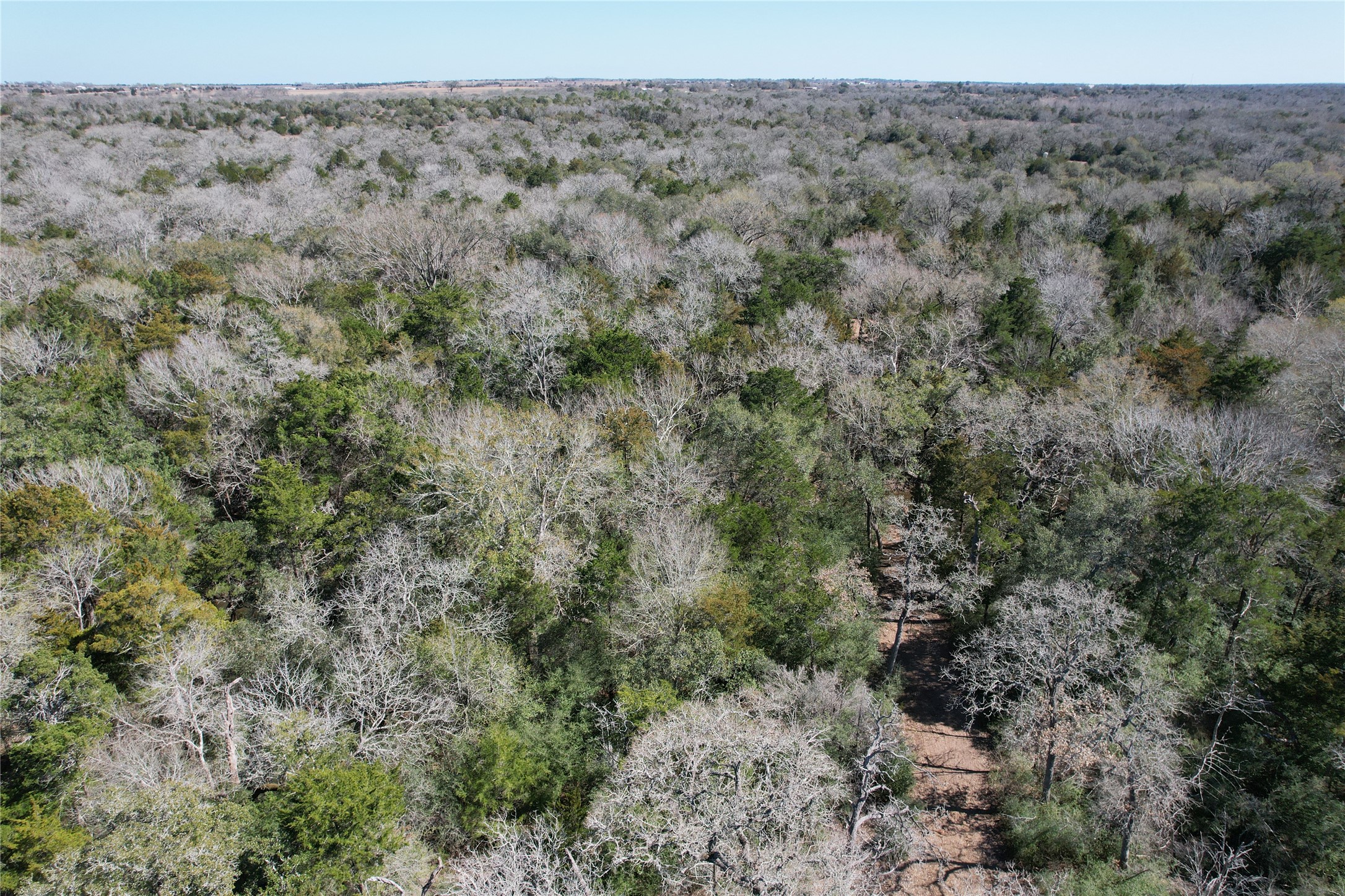 2551 Jurecka Road Fayetteville, TX 78940 - Photo 12 of 22 a view of a forest with a forest