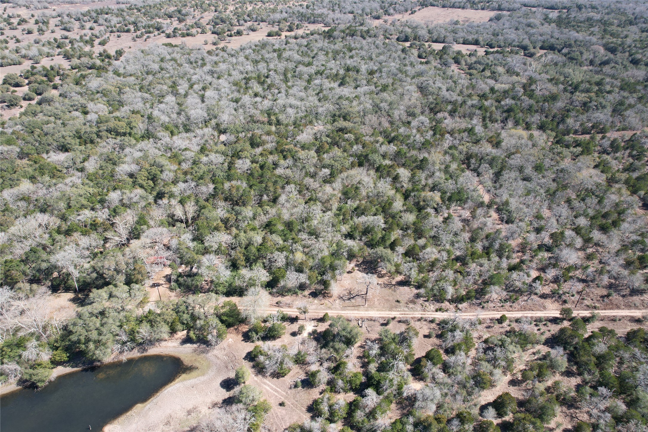 2551 Jurecka Road Fayetteville, TX 78940 - Photo 14 of 22 a view of a dry yard with trees