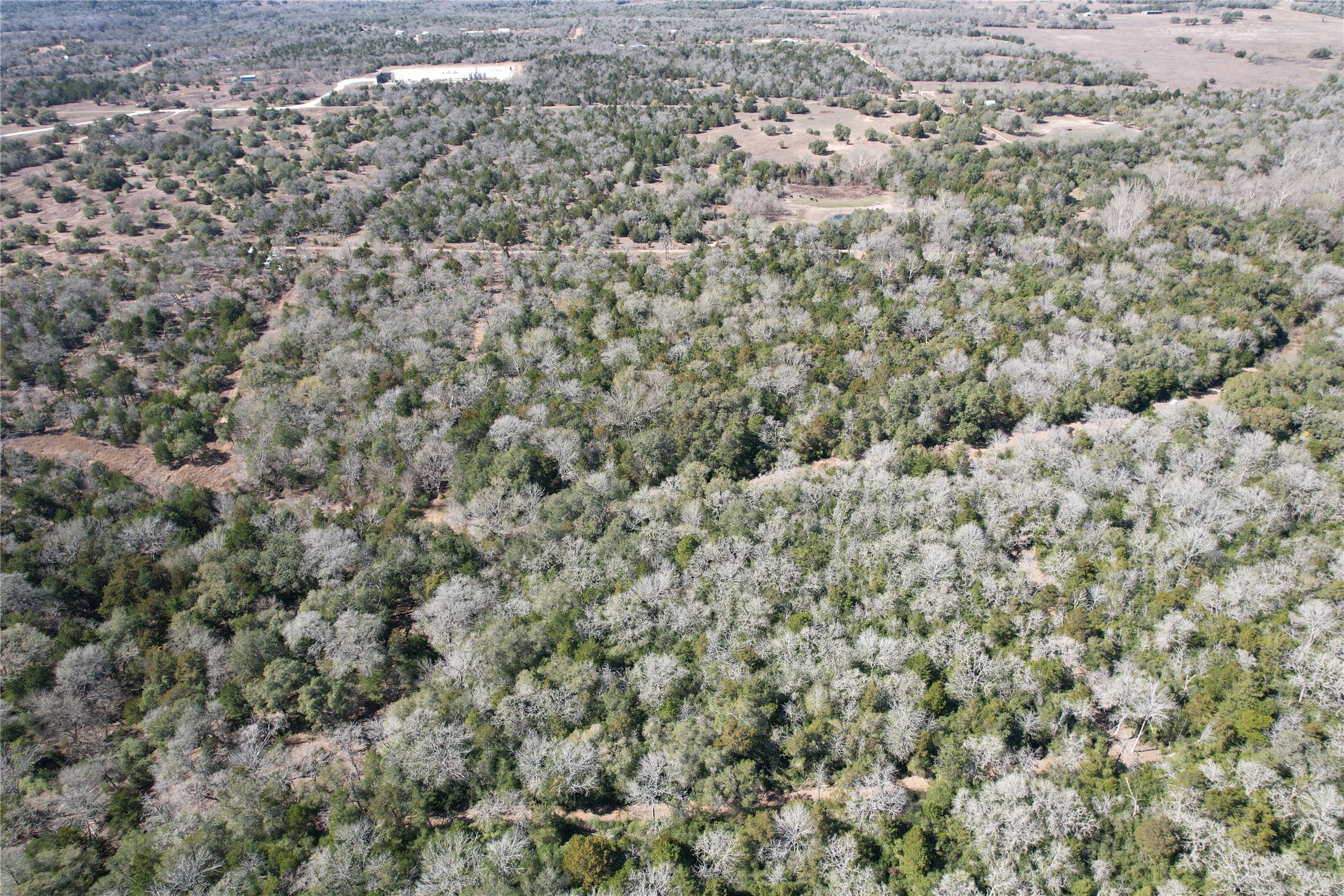 2551 Jurecka Road Fayetteville, TX 78940 - Photo 15 of 22 a view of a field