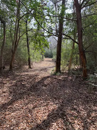 a view of a lake with mountain