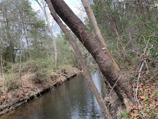 a view of a large body of water with a tree