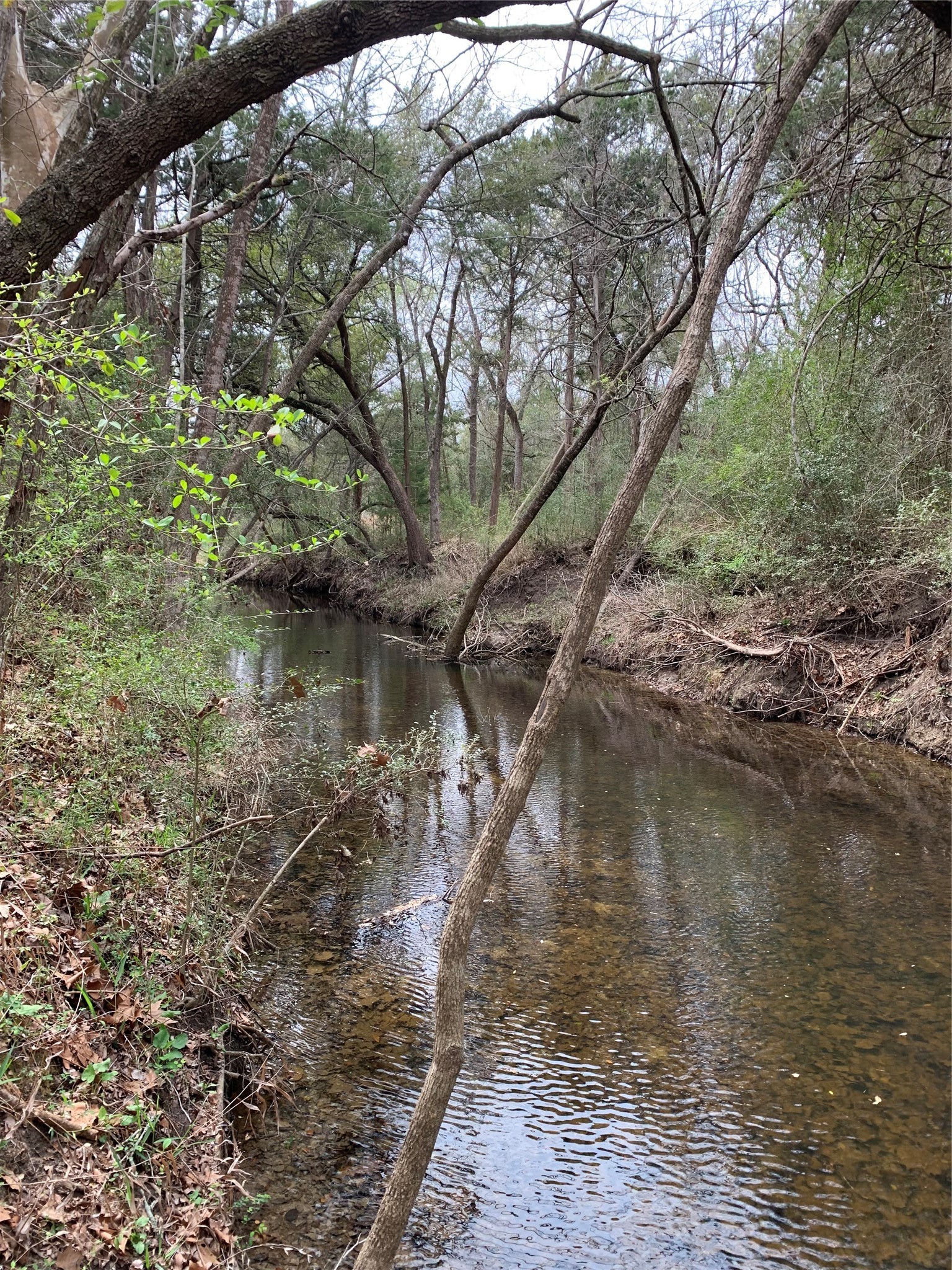 2551 Jurecka Road Fayetteville, TX 78940 - Photo 22 of 22 a view of a large body of water with a tree