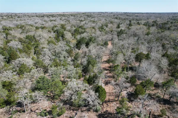 a view of a dry field