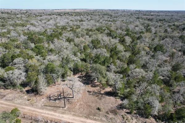 a view of a dry yard with trees