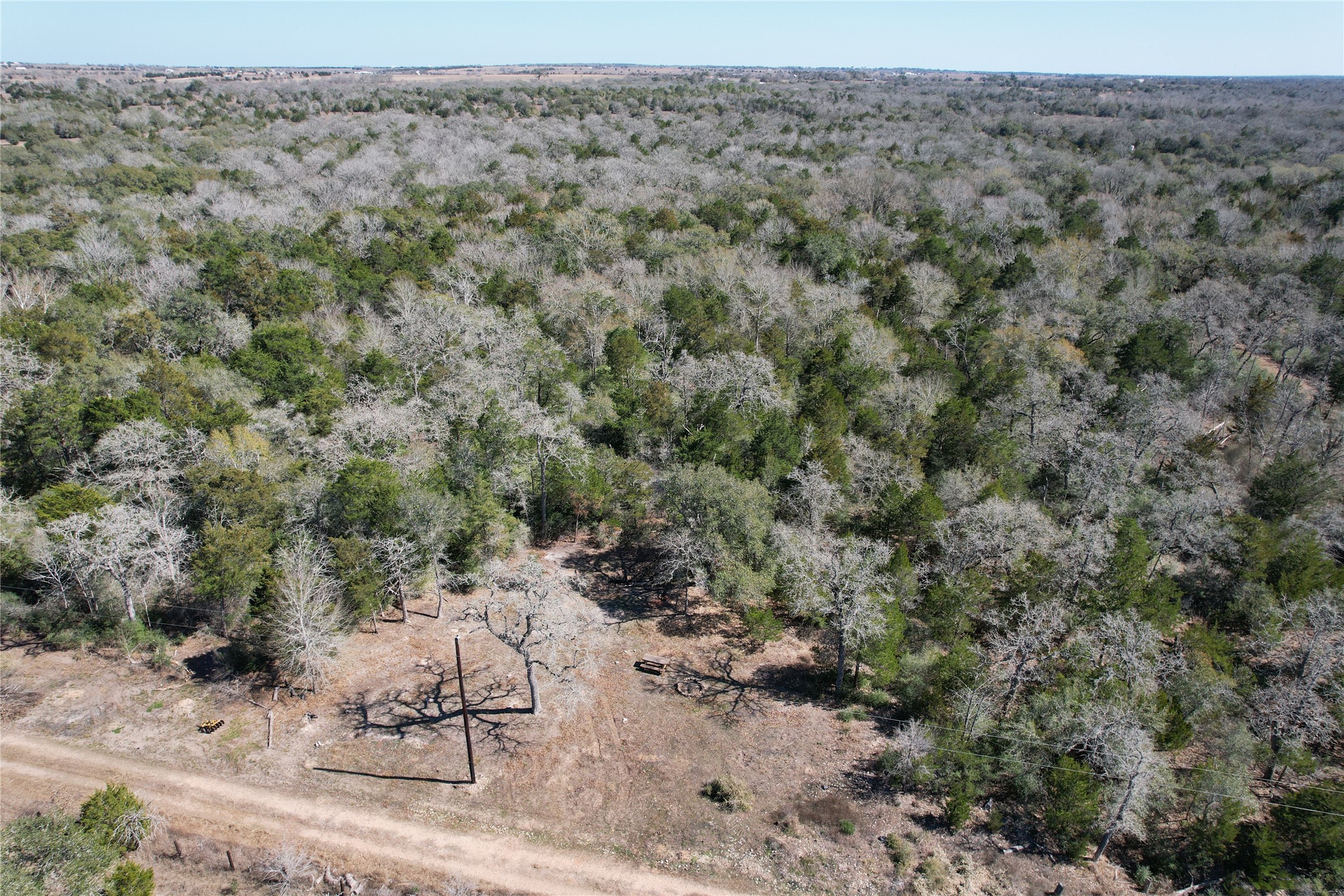 2551 Jurecka Road Fayetteville, TX 78940 - Photo 8 of 22 a view of a dry yard with trees
