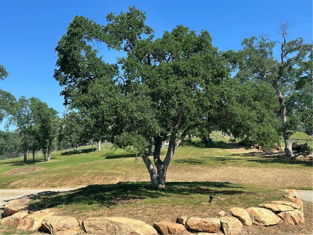 5427 Shooting Star Road Catheys Valley, CA 95306 - Photo 47 of 57