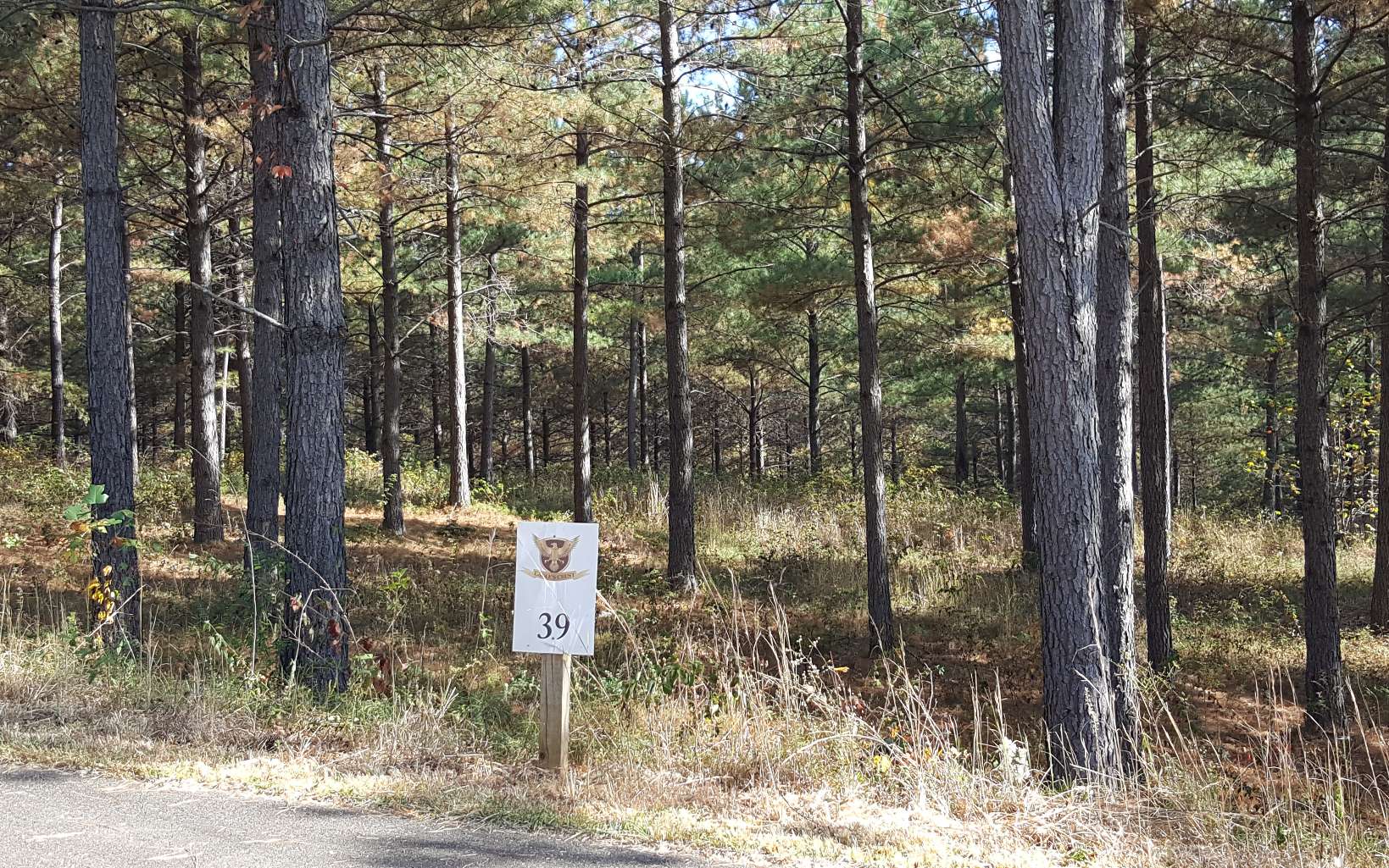 39 Reece Mountain Road Ellijay, GA 30536 - Photo 2 of 2 Additional View