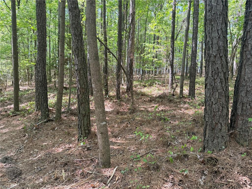 Lot 5 Woods Road Seagrove, NC 27341 - Photo 8 of 9