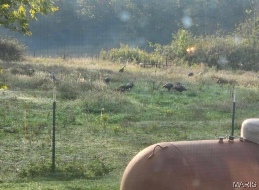 15620 County Rd WW-A Mountain View, MO 65548 - Photo 29 of 52