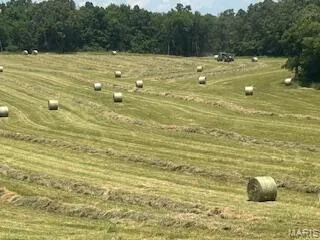 $505,000 | 15620 County Rd WW-A, Mountain View, MO 65548