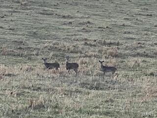 15620 County Rd WW-A Mountain View, MO 65548 - Photo 37 of 52