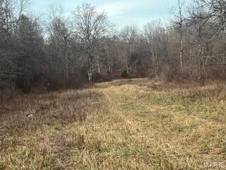 15620 County Rd WW-A Mountain View, MO 65548 - Photo 39 of 52