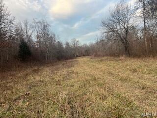 15620 County Rd WW-A Mountain View, MO 65548 - Photo 40 of 52