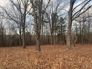 15620 County Rd WW-A Mountain View, MO 65548 - Photo 42 of 52