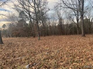 15620 County Rd WW-A Mountain View, MO 65548 - Photo 43 of 52