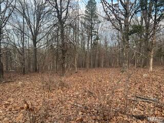 15620 County Rd WW-A Mountain View, MO 65548 - Photo 44 of 52