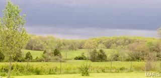 15620 County Rd WW-A Mountain View, MO 65548 - Photo 47 of 52