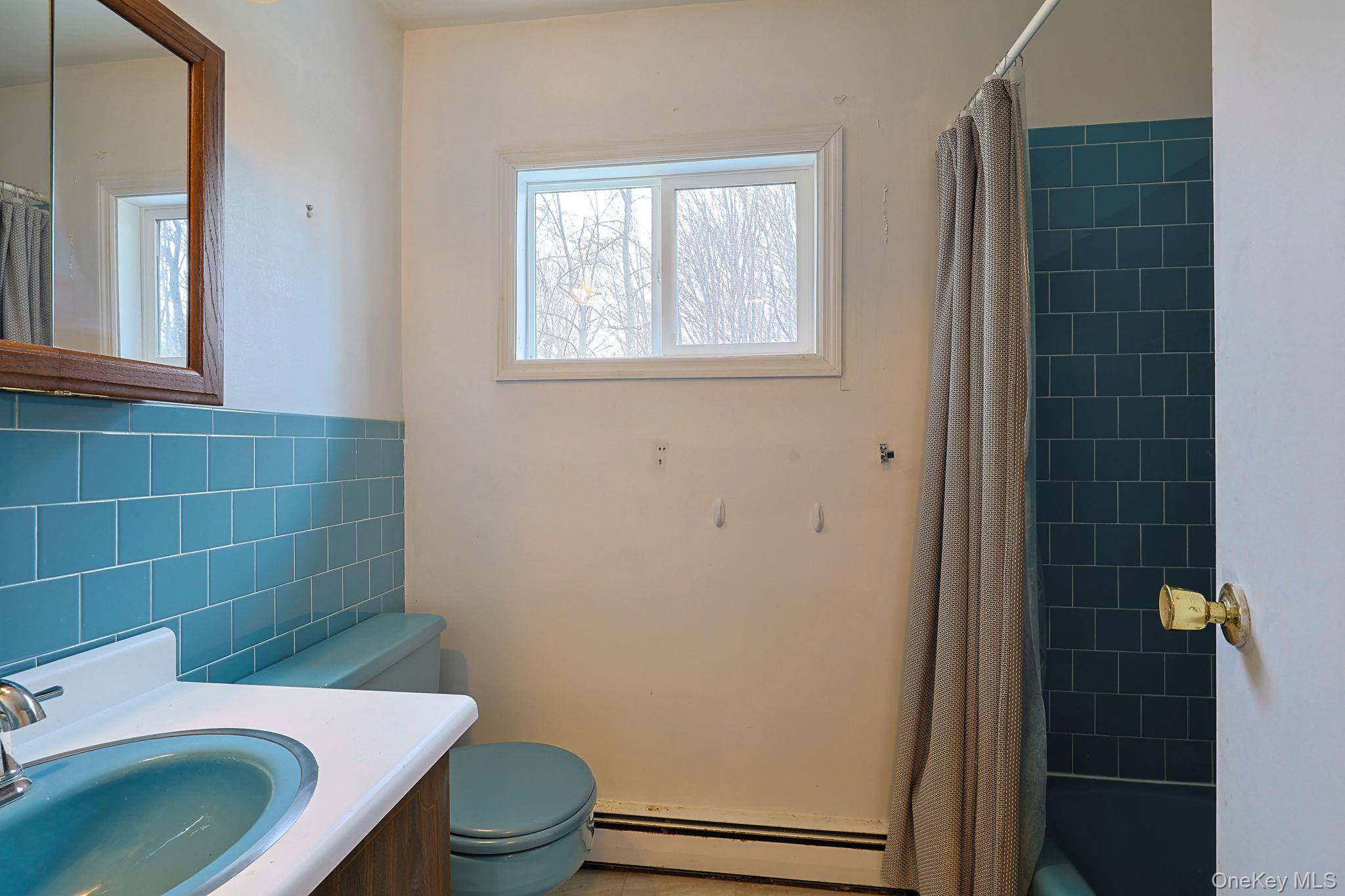 78 Pickerel Road Monroe, NY 10950 - Photo 25 of 41 a bathroom with a sink a toilet and shower