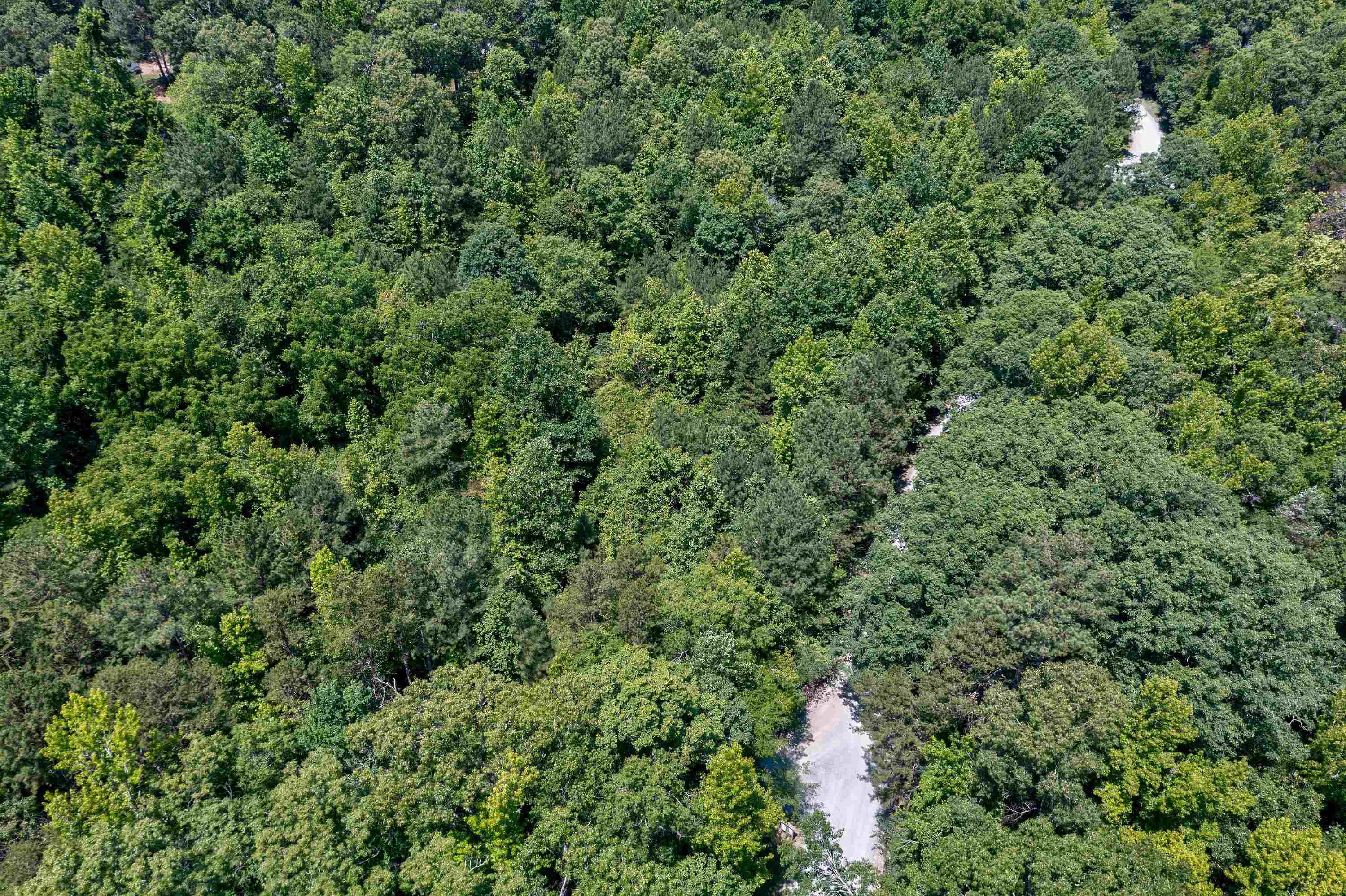 272 Mill Stone Road Moncure, NC 27559 - Photo 7 of 21 Photo 7