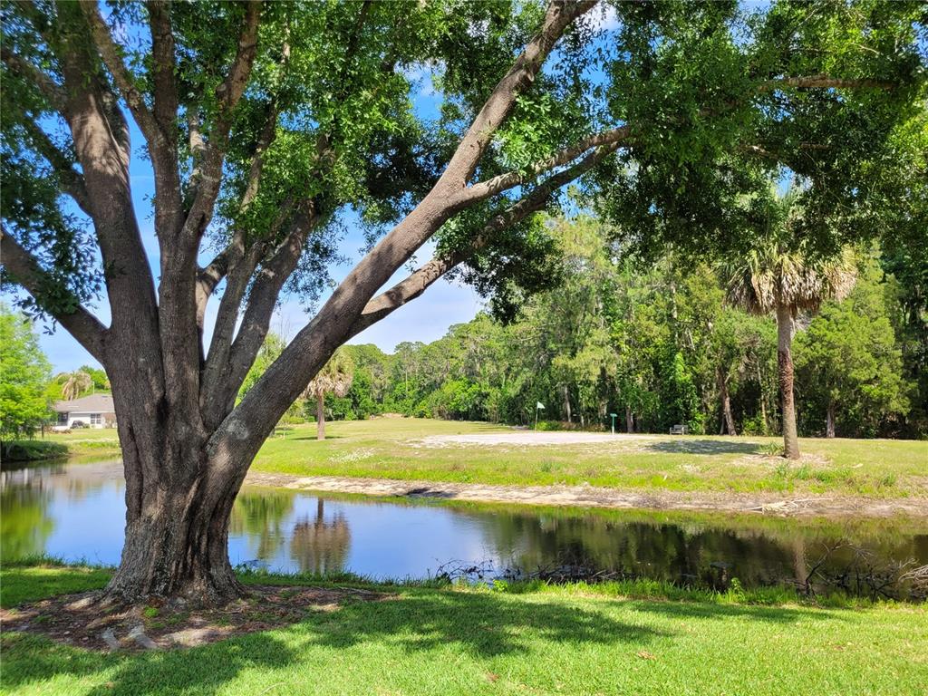 432 Baytree Boulevard Tavares, FL 32778 - Photo 36 of 65