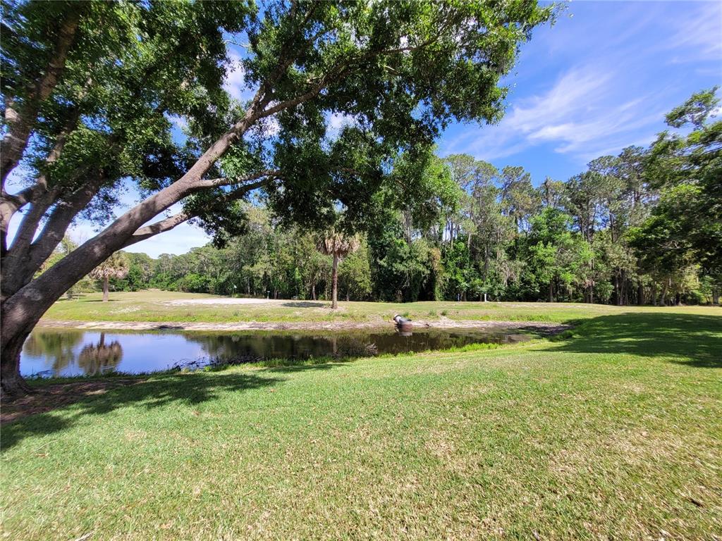432 Baytree Boulevard Tavares, FL 32778 - Photo 37 of 65 a view of swimming pool with a yard