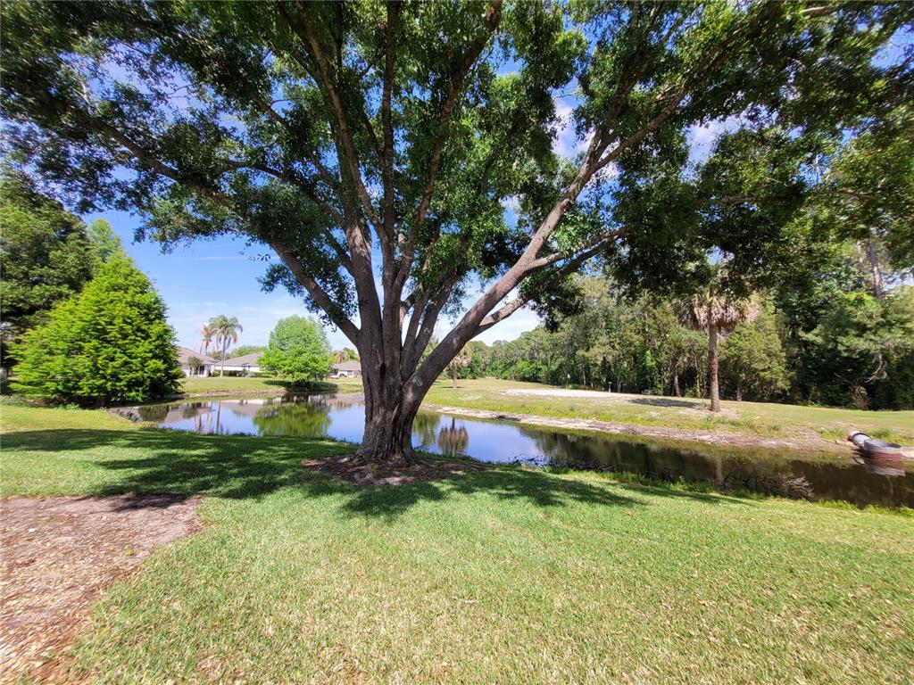 432 Baytree Boulevard Tavares, FL 32778 - Photo 38 of 65