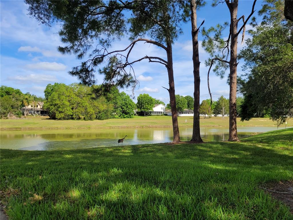 432 Baytree Boulevard Tavares, FL 32778 - Photo 45 of 65