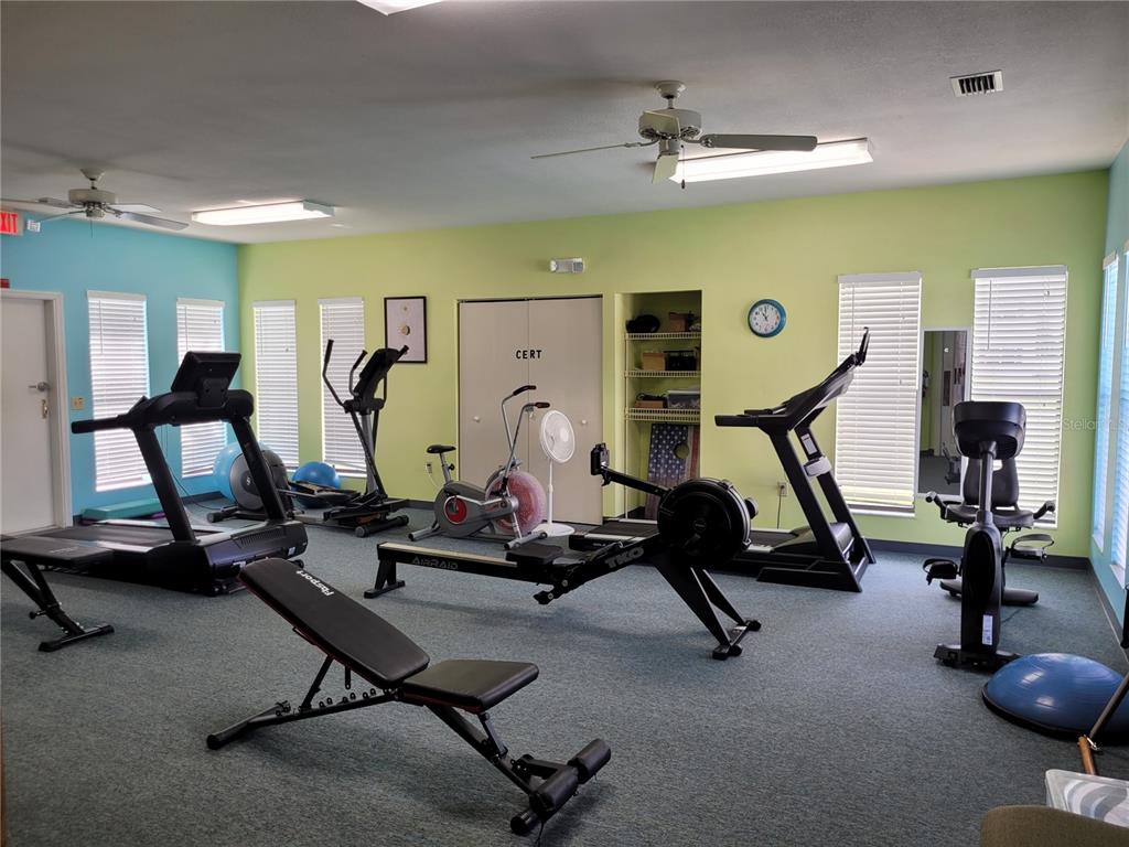 432 Baytree Boulevard Tavares, FL 32778 - Photo 51 of 65 a view of a room with gym equipment