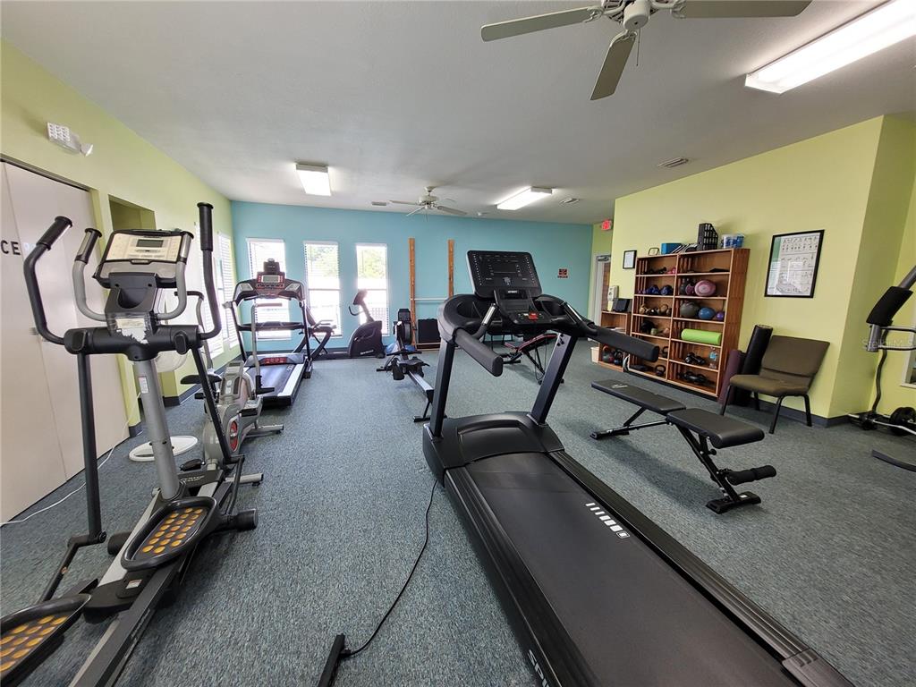 432 Baytree Boulevard Tavares, FL 32778 - Photo 53 of 65 a view of a room with gym equipment