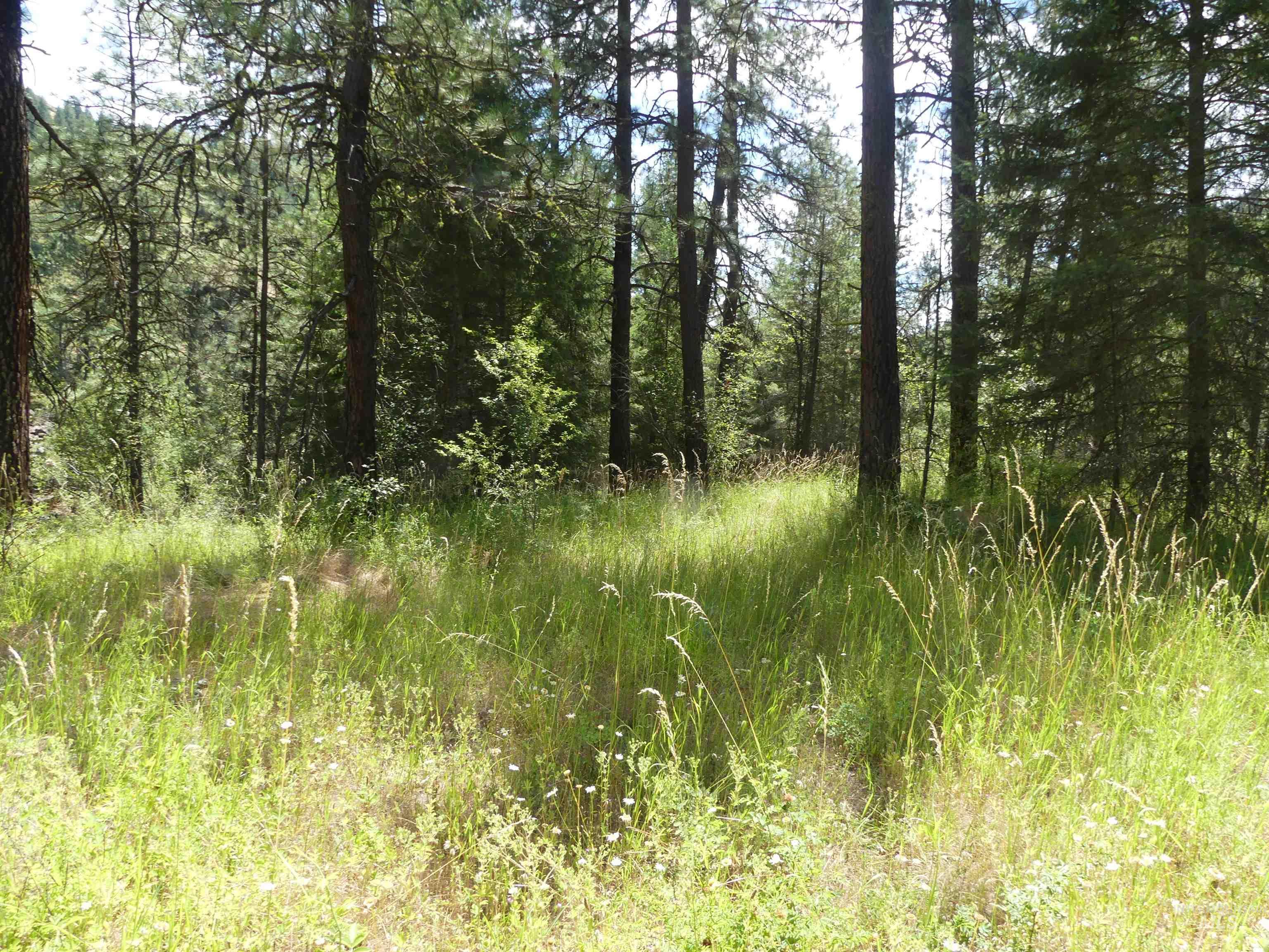 46601 Little Canyon Road Orofino, ID 83544 - Photo 42 of 46